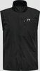 NL510116-2001.png