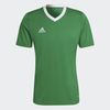 ADIHI2123-000.jpg