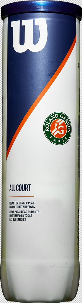 Wilson Roland Garros All Ct 4 Ball - yellow