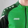 JA9322-221_8.jpg JA9322-221_8.jpg