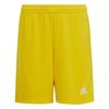 ADIIC7411-000.jpg ADIIC7411-000.jpg