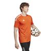 ADIIC1235-000_5.jpg ADIIC1235-000_5.jpg