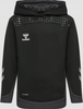 HU207410-2001.png