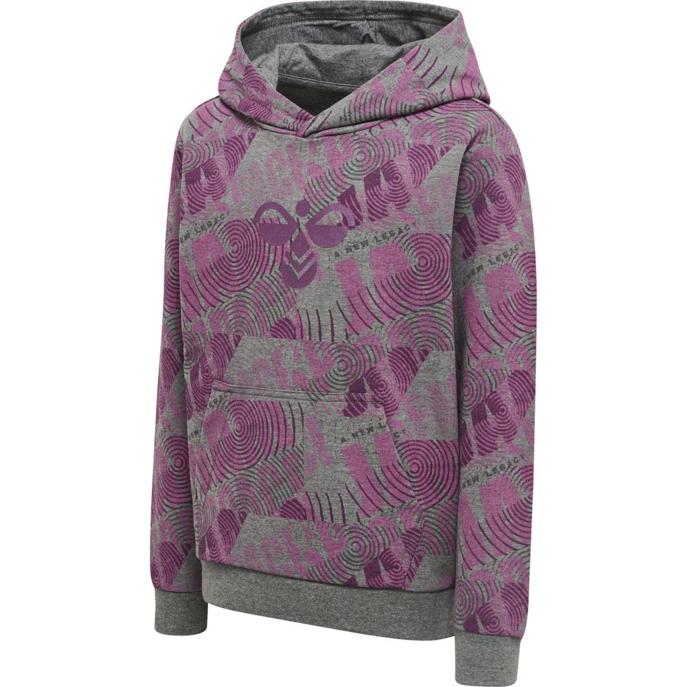 Hummel Hmlspace Jam Cuatro Hoodie - amaranth