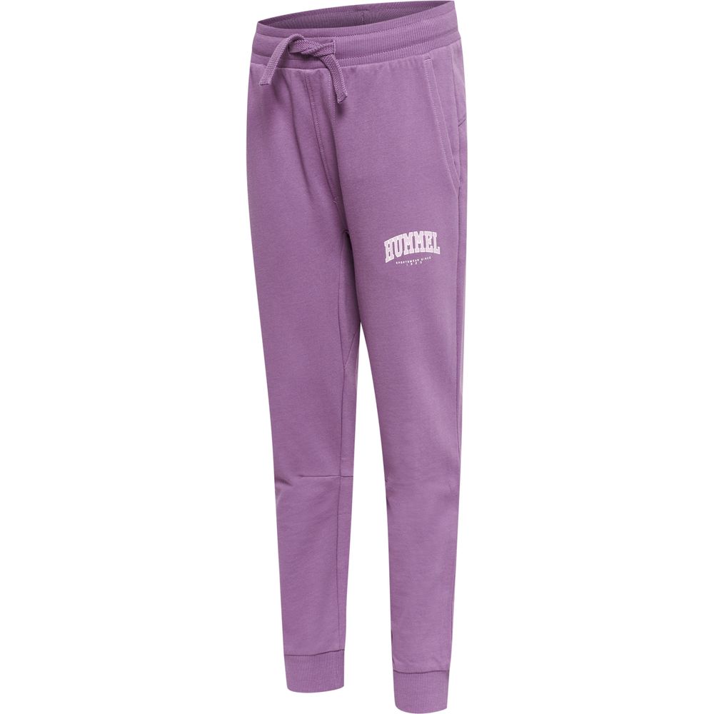 Hummel hmlFAST PANTS - argyle purple