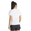 ADIIT7419-000_4.jpg ADIIT7419-000_4.jpg