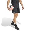 ADIIK4869-000_3.jpg