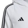 ADIIR7506-000_2.jpg ADIIR7506-000_2.jpg