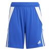 ADIIR9366-000.jpg