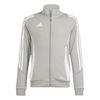 ADIIR9508-000.jpg