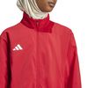ADIIT1821-000_5.jpg ADIIT1821-000_5.jpg