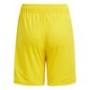 ADIIT2410-000_1.jpg ADIIT2410-000_1.jpg