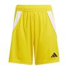 ADIIT2410-000_5.jpg ADIIT2410-000_5.jpg