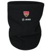 JAST1292-800.jpg