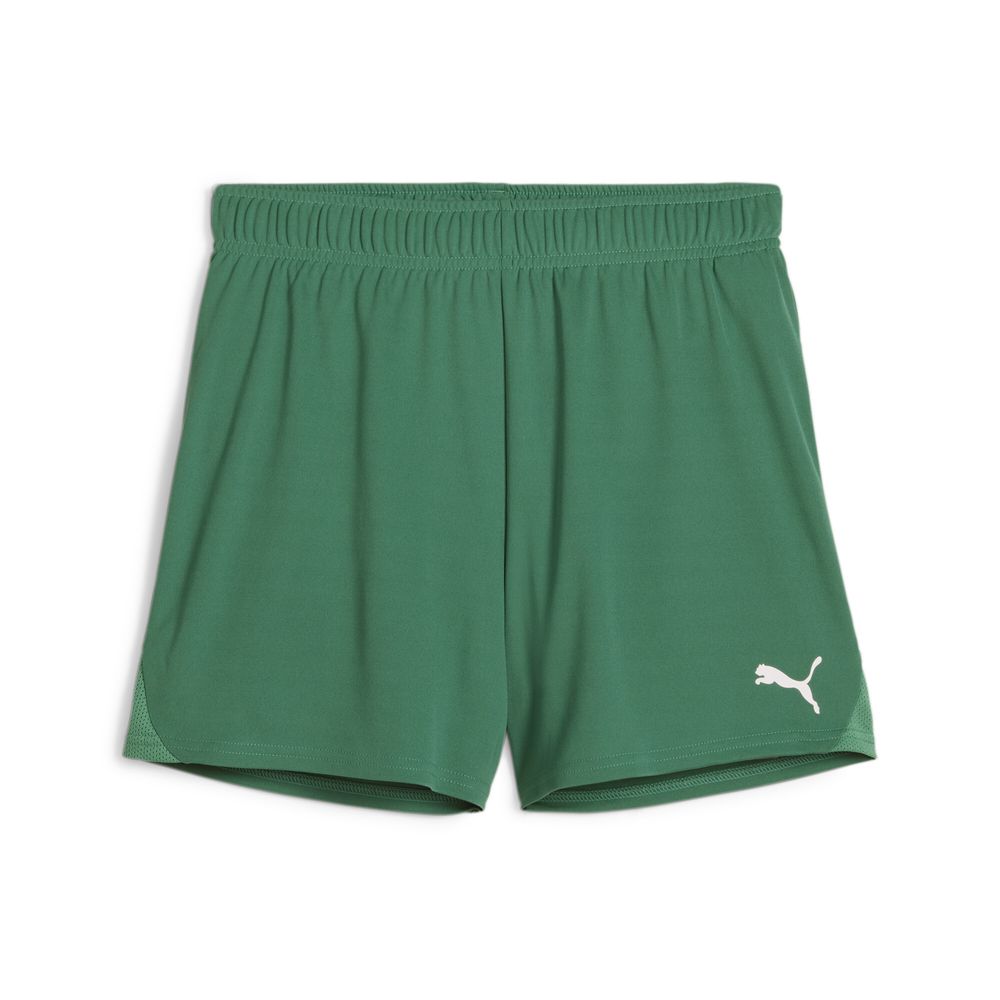 Puma teamGOAL Handball Shorts W - grün