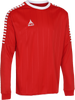 SE62252K-333.png