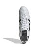 ADIID4050-000_1.jpg ADIID4050-000_1.jpg