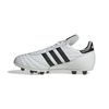 ADIID4050-000_3.jpg ADIID4050-000_3.jpg