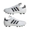 ADIID4050-000_8.jpg ADIID4050-000_8.jpg