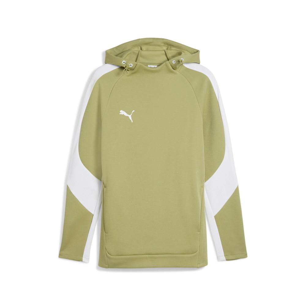 Puma teamEVOSTRIPE Hoody - grün