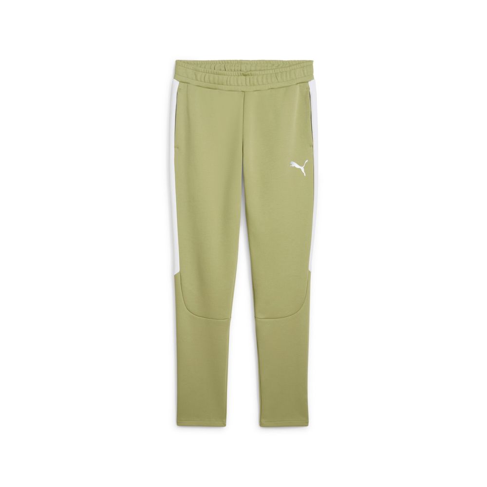 Puma teamEVOSTRIPE Pants - grün