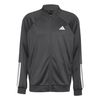 ADIJH3279-000.jpg ADIJH3279-000.jpg