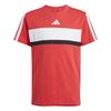 ADIJI6213-000.jpg ADIJI6213-000.jpg