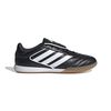 ADIIE1155-000.jpg