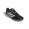 ADIIE1155-000_4.jpg