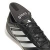 ADIIE1155-000_7.jpg