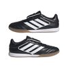 ADIIE1155-000_9.jpg ADIIE1155-000_9.jpg