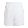 ADIJI9253-000_2.jpg ADIJI9253-000_2.jpg