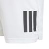 ADIJI9253-000_5.jpg ADIJI9253-000_5.jpg