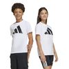 ADIJC9659-000_8.jpg
