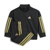 ADIJC8857-000.jpg ADIJC8857-000.jpg