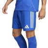ADIJG1065-000_5.jpg ADIJG1065-000_5.jpg
