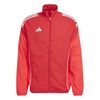 ADIJI6479-000.jpg ADIJI6479-000.jpg