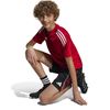 ADIJI6487-000_3.jpg ADIJI6487-000_3.jpg