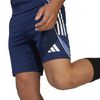 ADIJI6556-000_4.jpg ADIJI6556-000_4.jpg