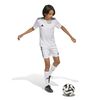 ADIJJ4169-000_5.jpg ADIJJ4169-000_5.jpg
