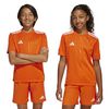 ADIJJ4170-000_9.jpg