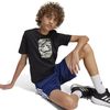 ADIJM8234-000_6.jpg ADIJM8234-000_6.jpg