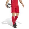 ADIJP4743-000_3.jpg ADIJP4743-000_3.jpg