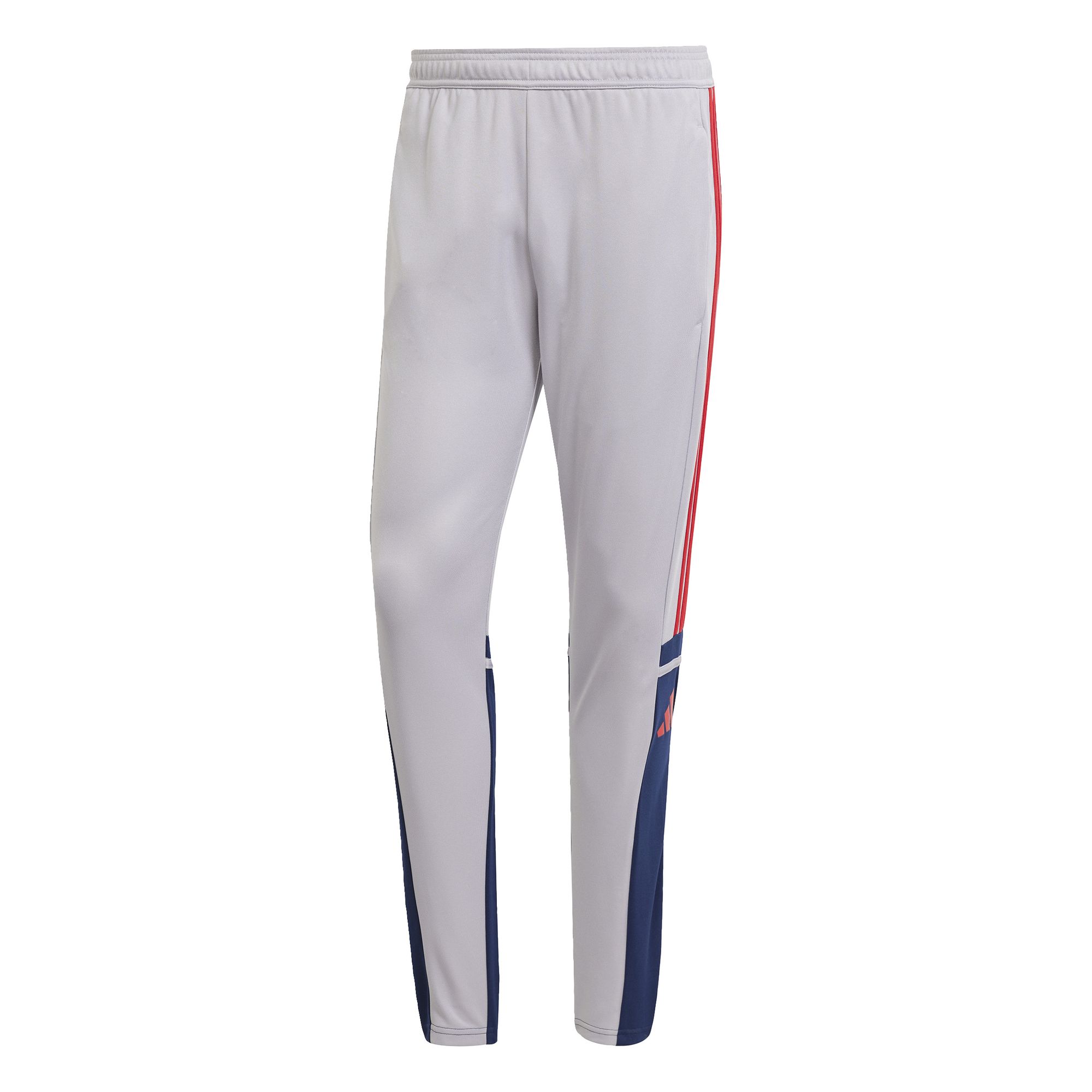 adidas Squadra 25 Tr Pnt - glogry/tenabl/purrub