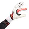 ADIIW6378-000_3.jpg