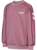 HU229830-3184.png