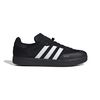 ADIIE3238-000.jpg ADIIE3238-000.jpg