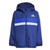 ADIJL7396-000.jpg ADIJL7396-000.jpg
