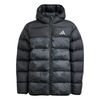 ADIJL7399-000.jpg ADIJL7399-000.jpg