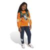 ADIJL9188-000_2.jpg ADIJL9188-000_2.jpg